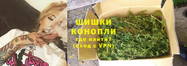 индика Алапаевск
