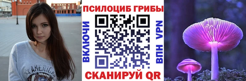 Галлюциногенные грибы Psilocybe  наркошоп  hydra зеркало  Оренбург 